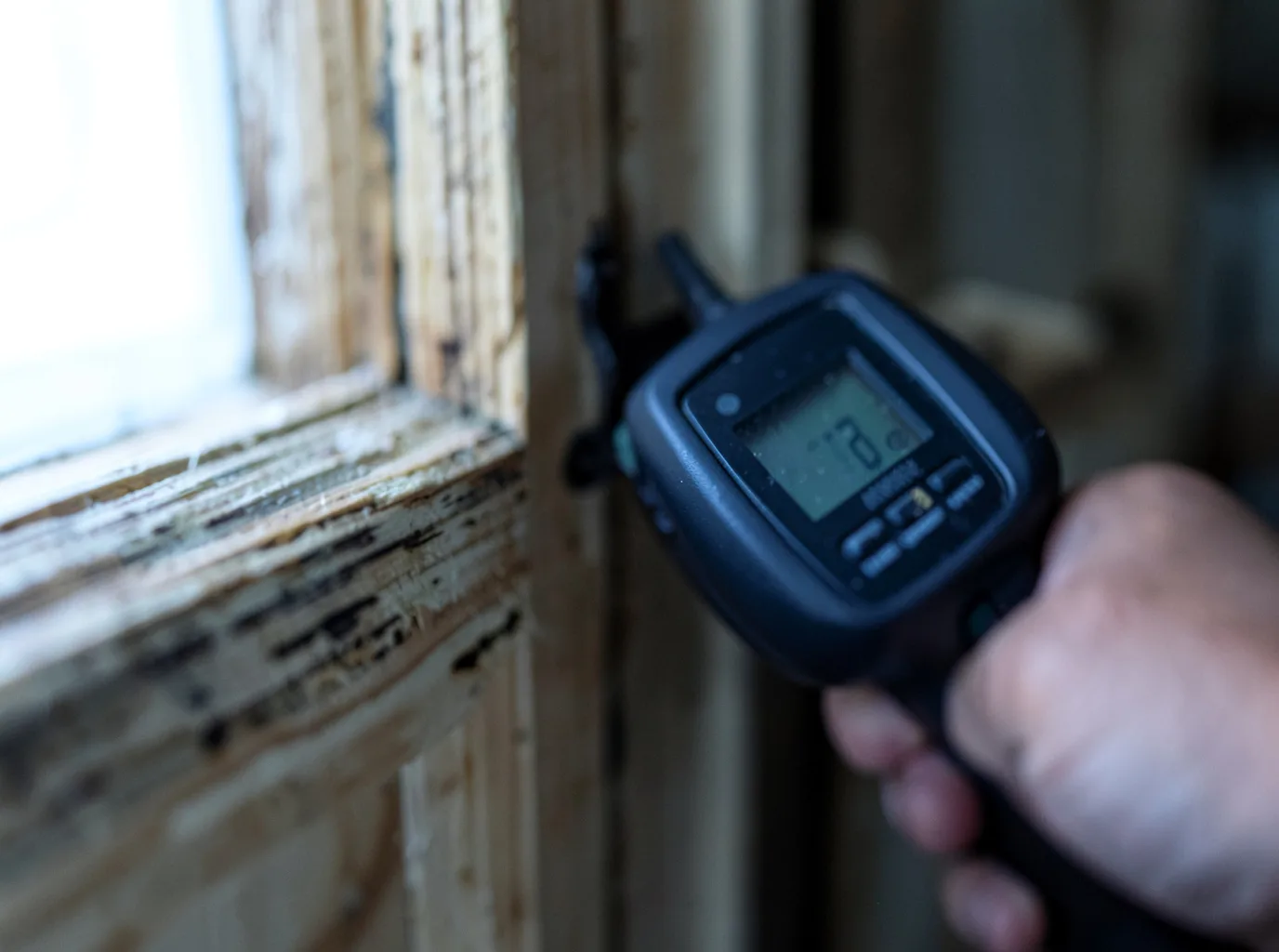 Commercial Water Damage Restoration in Whitley City, KY